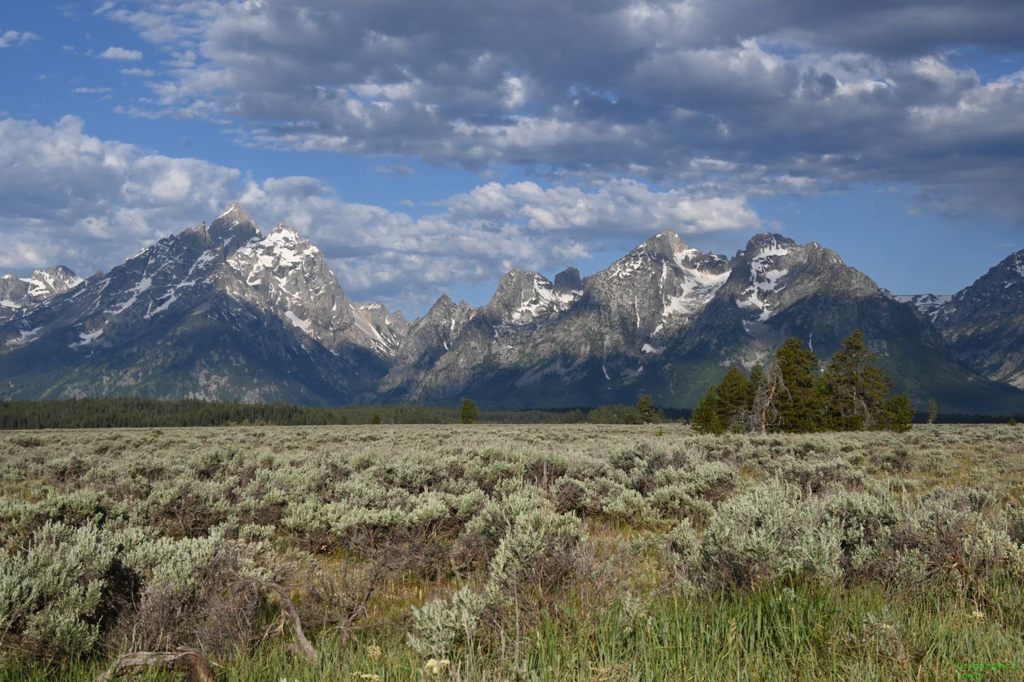Grand Teton in the Afternoon