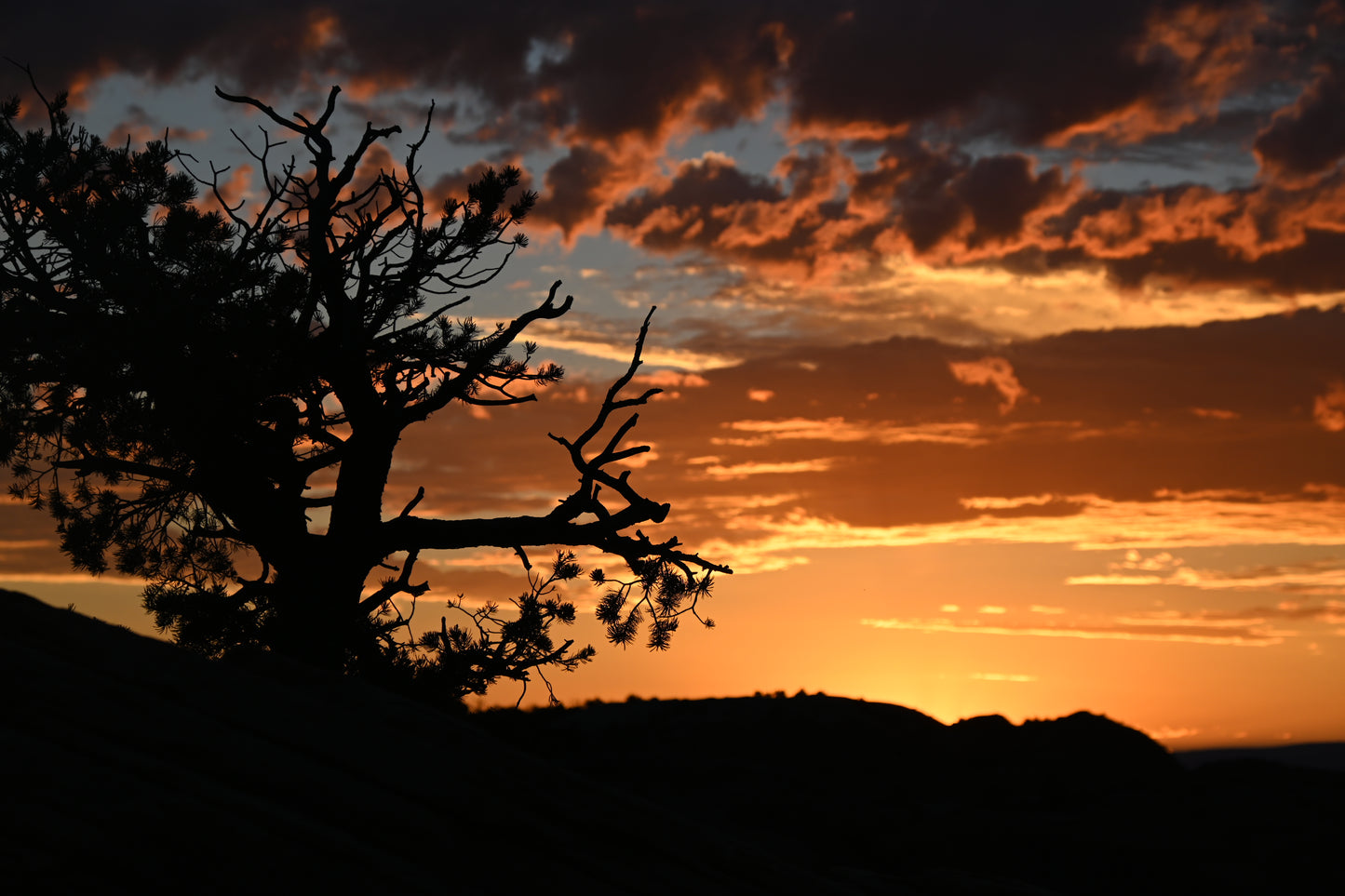 Sunrise Canyonland NP