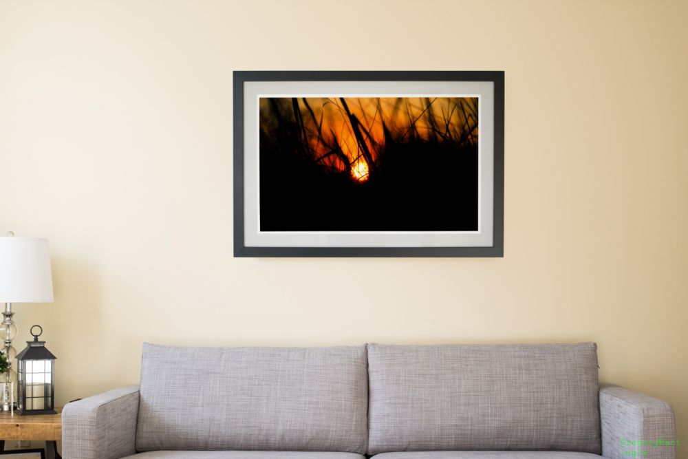 An Insect's Perspective