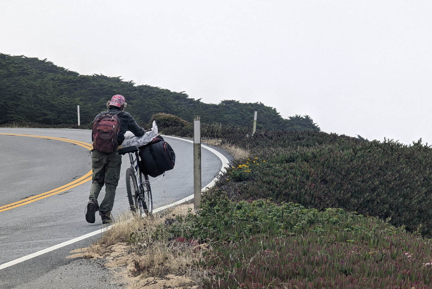 Kindred Spirit - Hwy 1 - Near Big Sur