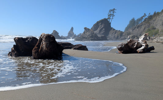 Shi Shi Beach - Point of Arches area near Neah Bay