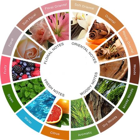 Candle fragrance wheel